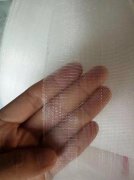青蛙养殖网